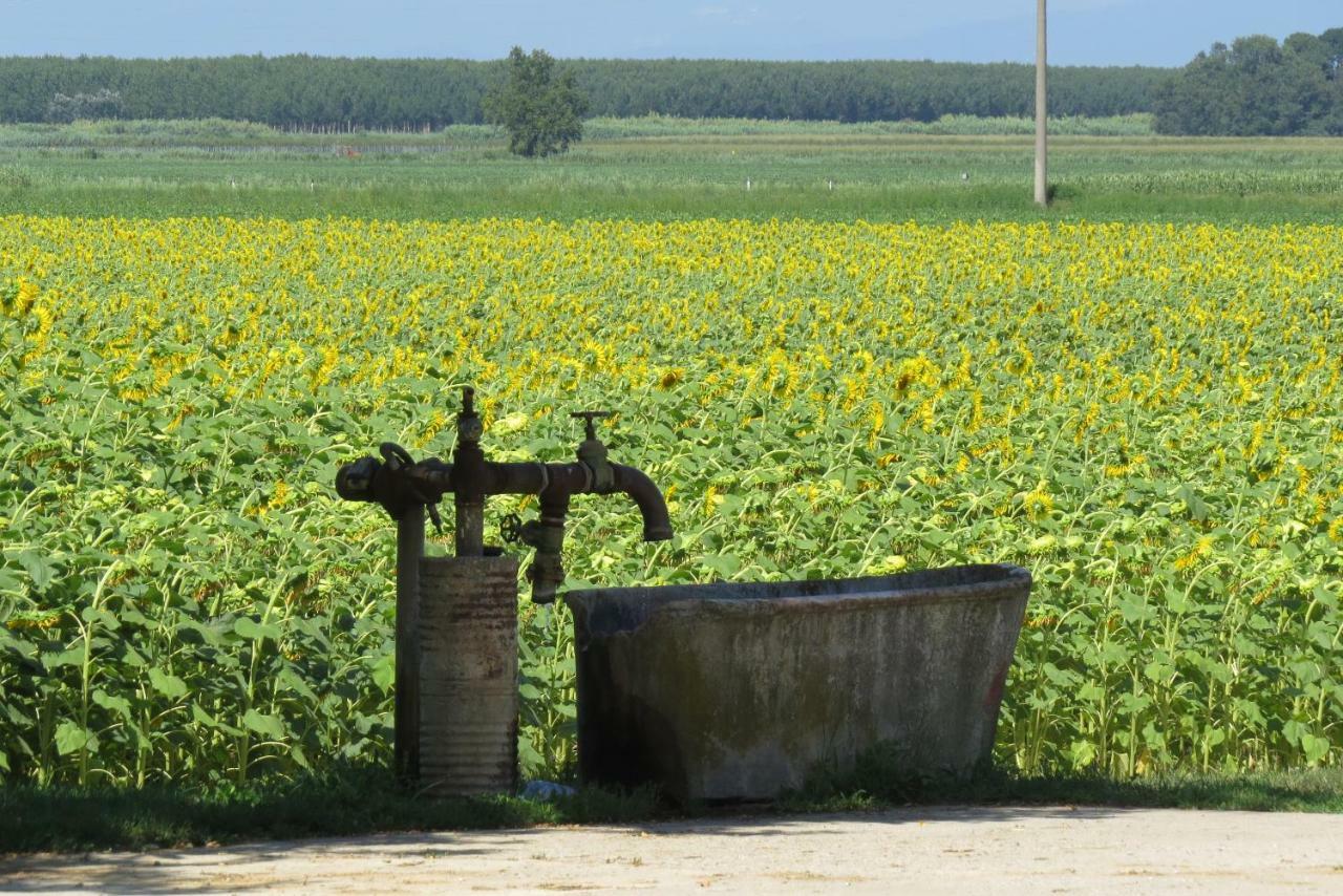 La Centuria Societa Agricola Casa Vacanze Terzo d' Aquileia Exterior foto