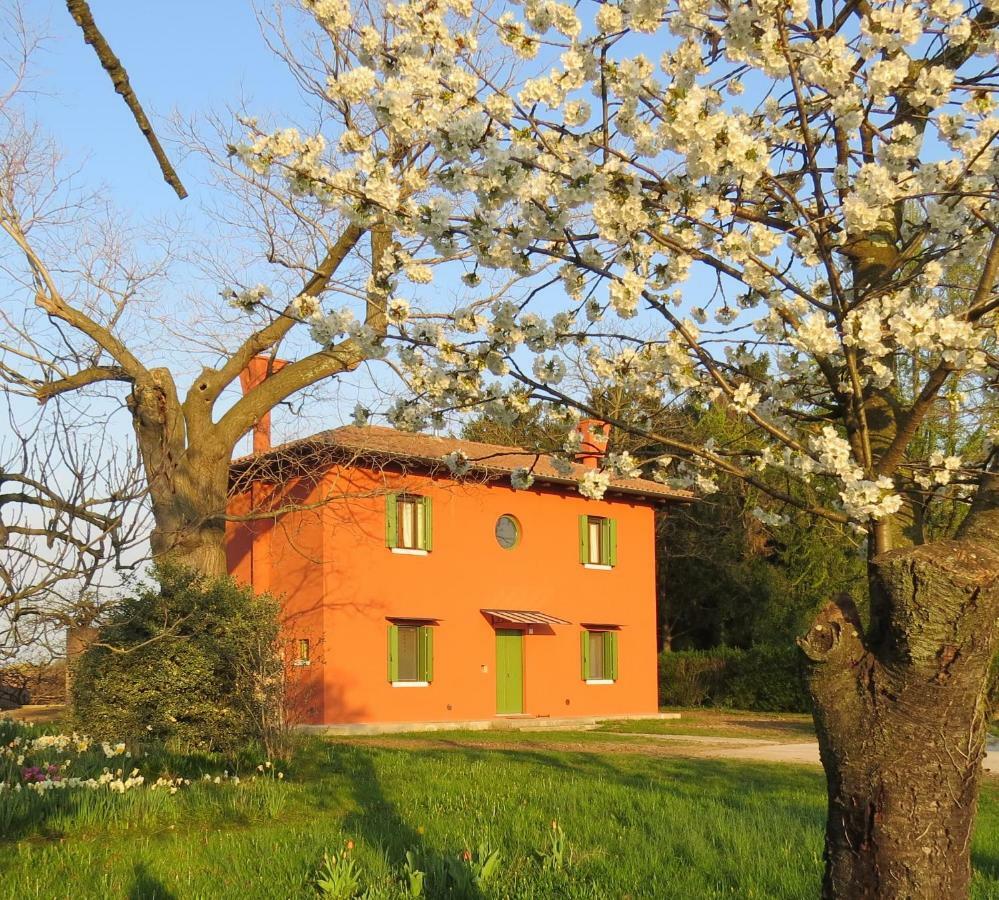 La Centuria Societa Agricola Casa Vacanze Terzo d' Aquileia Exterior foto