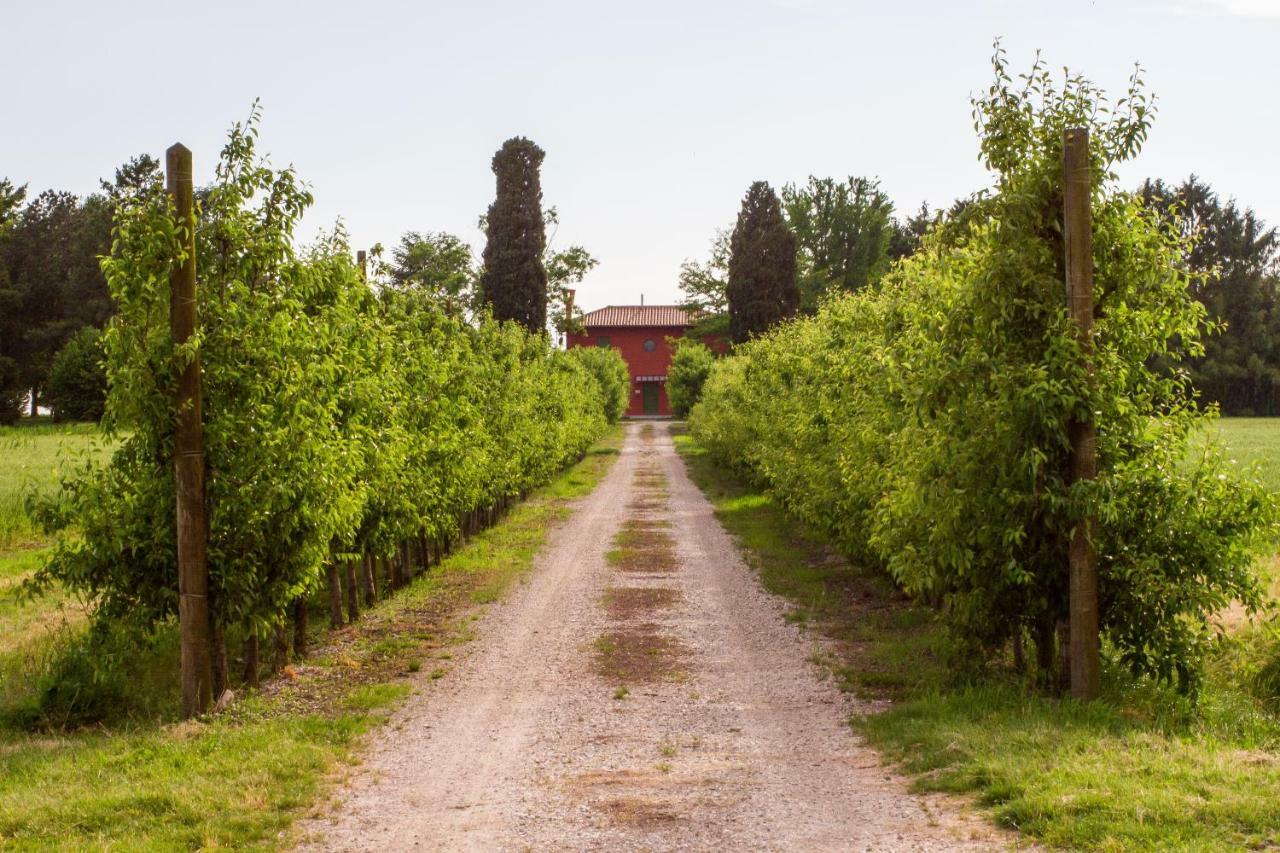 La Centuria Societa Agricola Casa Vacanze Terzo d' Aquileia Exterior foto